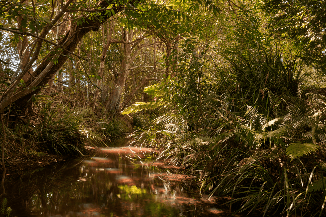 Embracing Nature's Bounty, Our Estate - Madura Tea