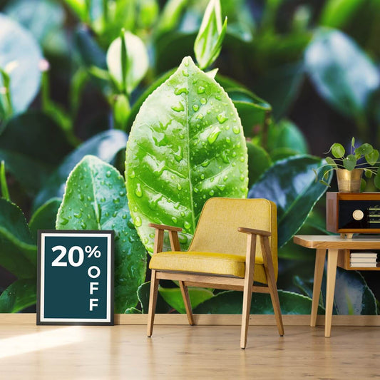 Fall in love with the Magic of Madura! - Madura Tea