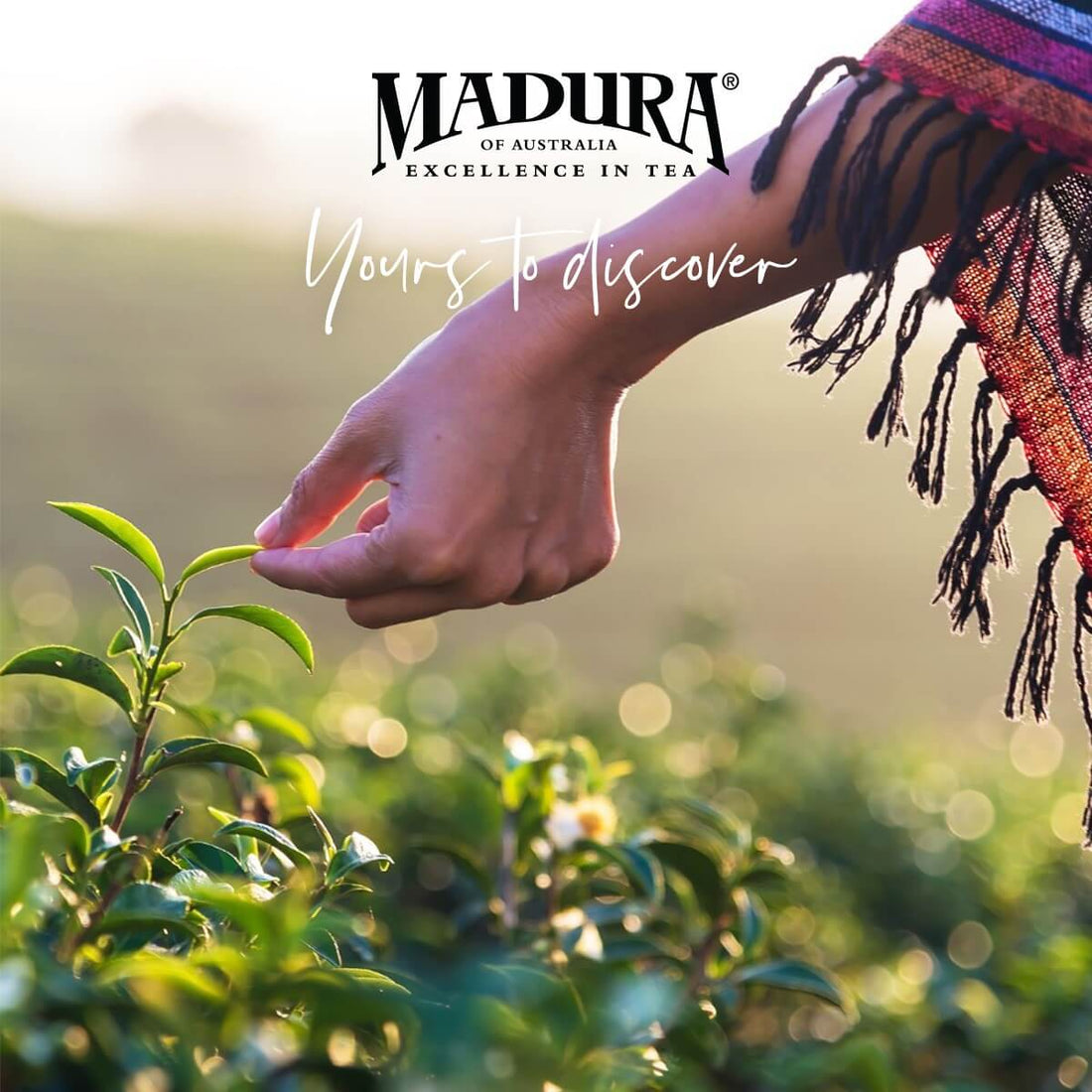 Committing To Sustainability On A Holistic Level - Madura Tea